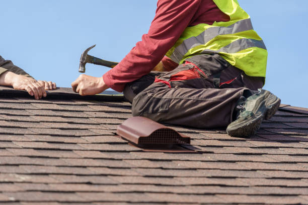 Quick and Trustworthy Emergency Roof Repair Services in Sterling, GA