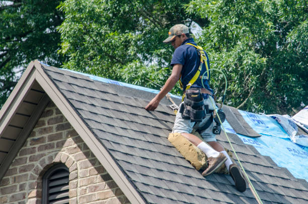 Residential Roof Replacement in Sterling, GA